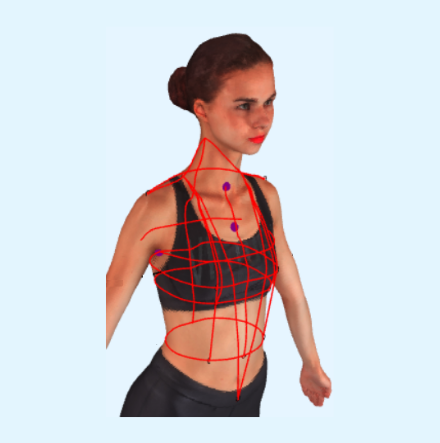 Measurements of the Thoracic Region