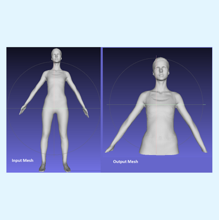 Simple Method for Slicing and Segmenting 3D Avatars