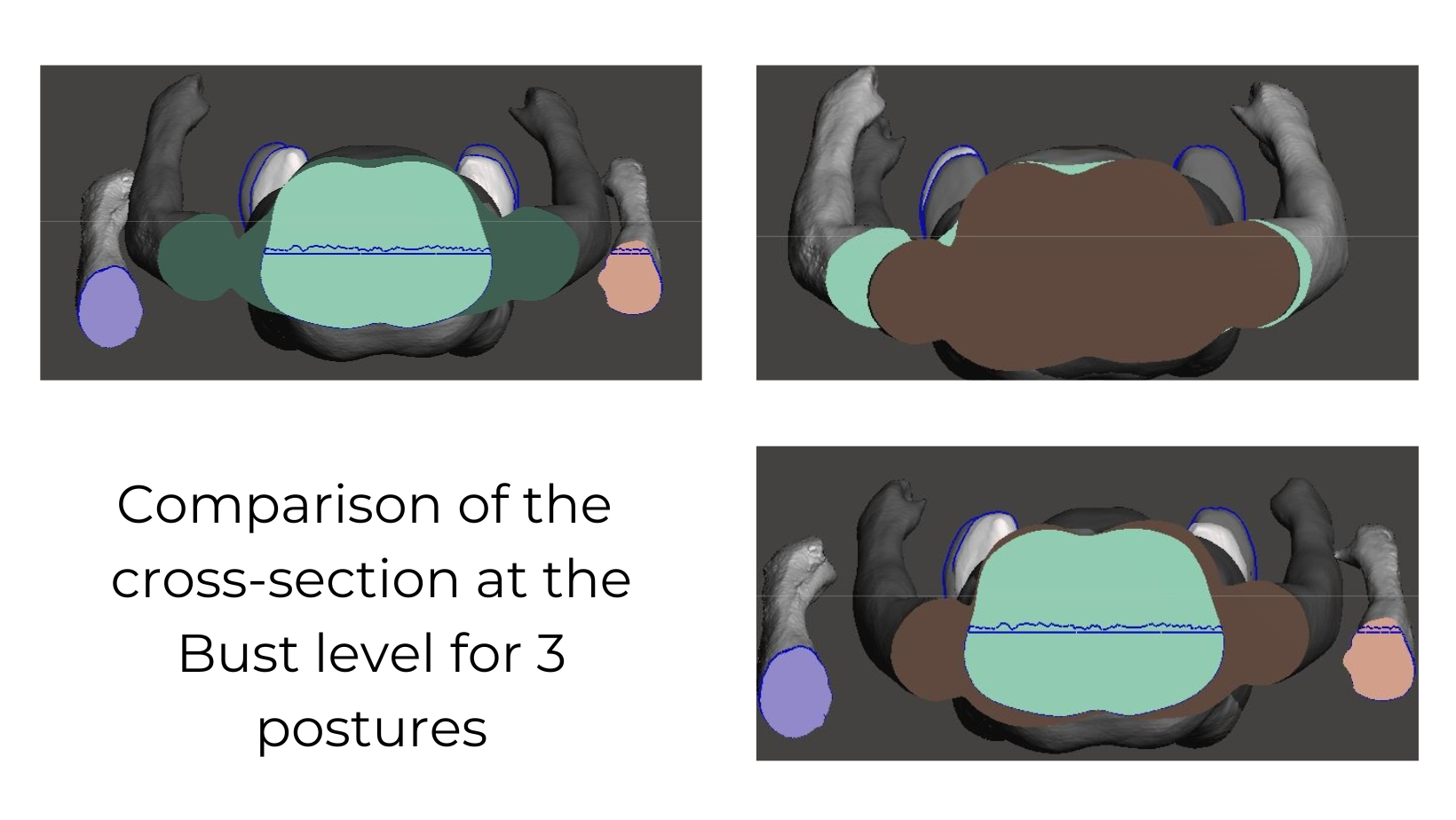 Fig: Comparison of the cross-section at the Bust level for 3 postures.
